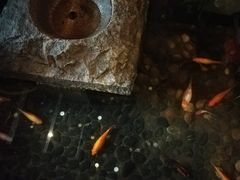 -功德林(南京西路店)
