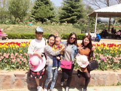 -洛阳郁金香牡丹园