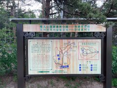 -帽儿山国家森林公园