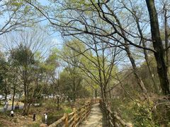 -木兰云雾山