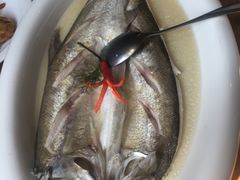 -香浙汇(望京店)