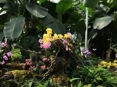 -石家庄市植物园