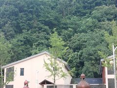 -牛背梁国家森林公园