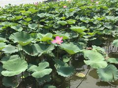 -星巴克(济南美莲广场店)