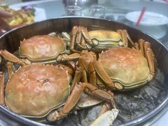 -绿雅居原生态农庄(小涌店)