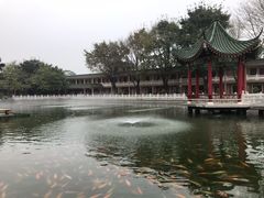 景点-广东圆玄道观