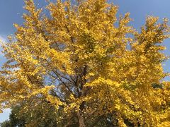 -苏州河梦清园环保主题公园