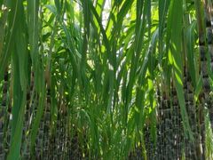 -汉长安城未央宫国家考古遗址公园