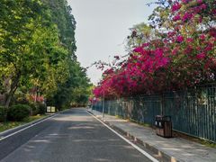 -东莞植物园