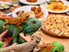 -FAIRYLAND龙族星球主题餐厅(凯丹广场店)