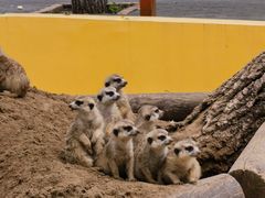 -北京野生动物园