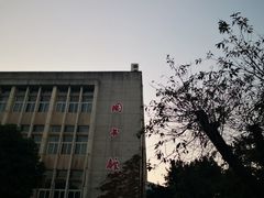 图书馆-西南政法大学(沙坪坝校区)