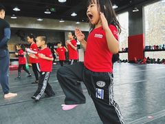 -极斗-IKMF马伽术·格斗运动学院(东直门店)