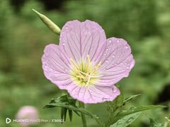 -下渚湖·湿地公园