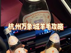 -LV路易威登(杭州万象城店)