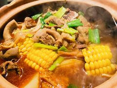 牛腩牛杂煲-粉灯牛腩牛杂煲·鸡煲(双井店)