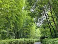 -天目湖涵田度假村