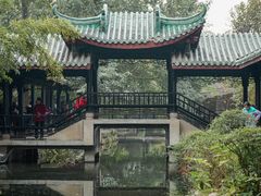 -桂湖森林公园