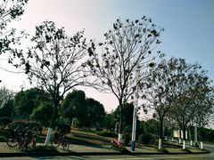 -东南大学(九龙湖校区)
