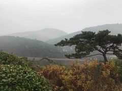 -徂徕山森林康养度假谷温泉