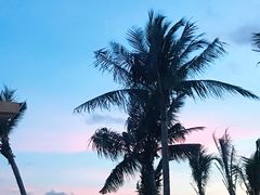 -玫瑰海岸文化旅游度假区
