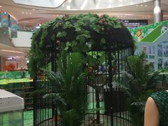 -石狮世茂摩天城摩天轮