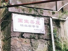 -国生茶庄·地道农家菜团建活动