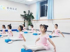 -梧桐花语舞蹈培训中心(潞城校区)