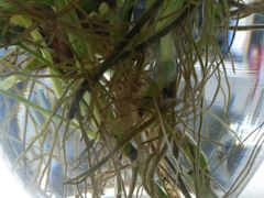 -武汉大学人民医院(首义院区)