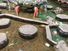 -上海大自然野生昆虫馆(东方明珠·爬宠昆虫探索中心)