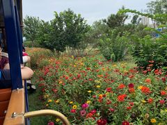 -永定河休闲森林公园