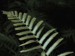 -上海怡沁园度假酒店