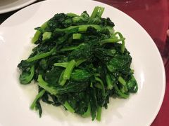 酒香豆苗-老吉士酒家(天平路店)