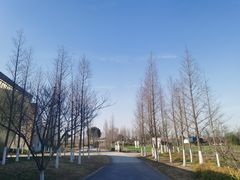 -田园东方蜜桃村的田野营地