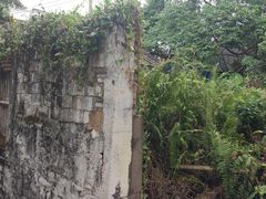 -东寨港红树林旅游区