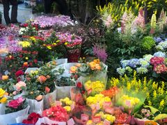 -双季花艺园艺市场(浦东店)