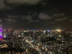 -六本木新城展望台(东京城市景观)