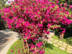 -七彩云南古滇温泉山庄