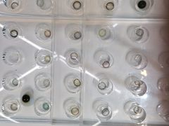 -miomi米欧米美瞳隐形眼镜(新世界大丸百货店)