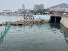 -黑石礁公园