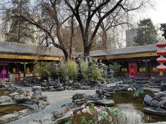 -白家大院·王府宫廷菜(苏州街店)