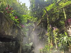 -青青世界