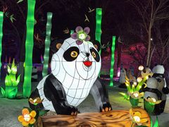 -沈阳奥体冰雪嘉年华