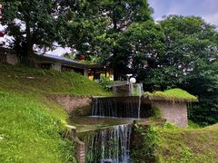 -凤阁楼果木烧鹅(鹤山陈山店)