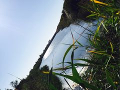 -亿利库布其七星湖沙漠生态旅游区