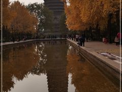-玲珑塔公园
