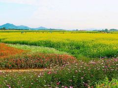 -光明小镇欢乐田园