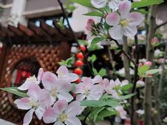 -陶然居·重庆菜(鱼洞老街店)