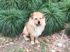 -中国邮政(北艾路邮政支局)