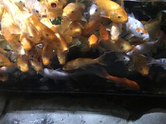 -南昌海洋公园